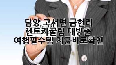 담양 고서면 금현리 렌트카🚗꿀팁 대방출! #여행필수템 #지금바로확인
